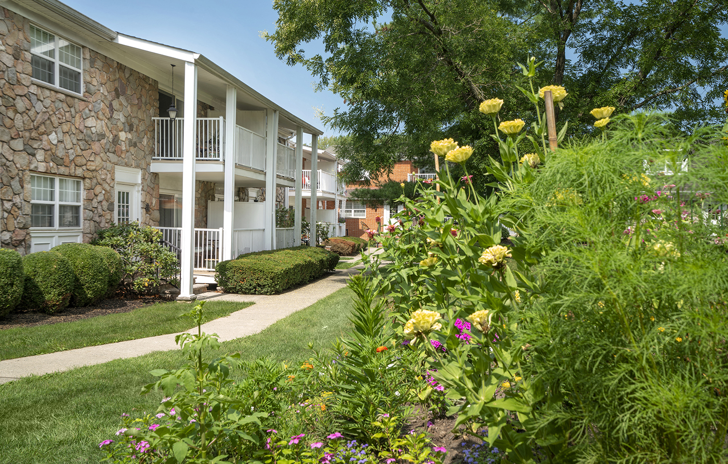 Chatham Hill Apartments in Chatham, NJ